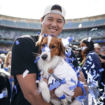 大谷翔平 2024年の50-50達成とドジャース優勝の舞台裏