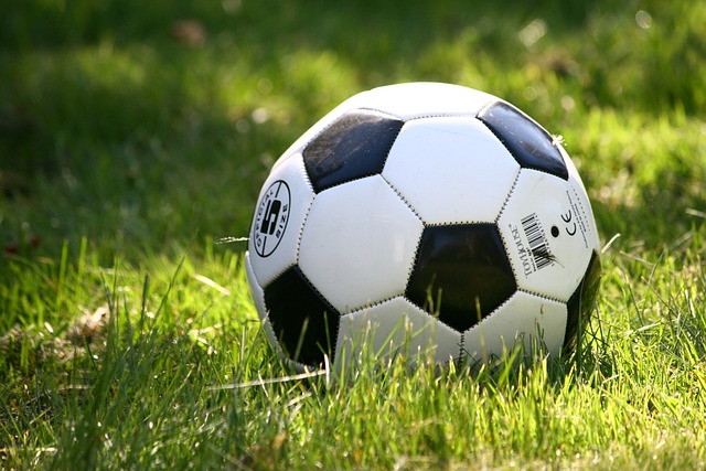 Boost Your Betting Win Rate! Why Goal Predictor is the Top Choice