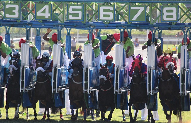 Learn from the Pros! How to Maximize Your Profits with Betting Gods Tipsters